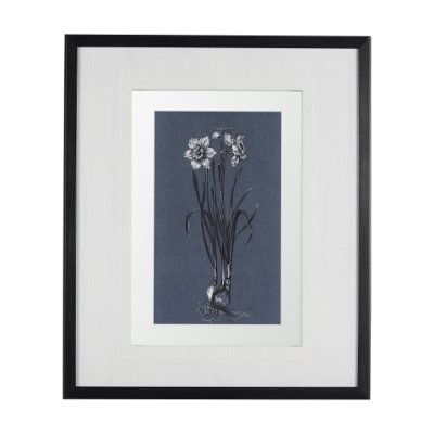 14576 - Botanical sketches II (Blue) by Mercana Studio Hand Embellished Framed Art Print Matted under Glass