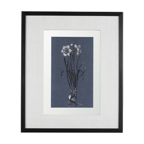 14576 - Botanical sketches II (Blue) by Mercana Studio Hand Embellished Framed Art Print Matted under Glass