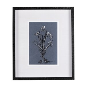 Botanical sketches III (Blue) by Mercana Studio Hand Embellished Framed Art Print Matted under Glass
