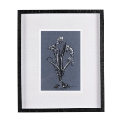 14577 - Botanical sketches III (Blue) by Mercana Studio Hand Embellished Framed Art Print Matted under Glass