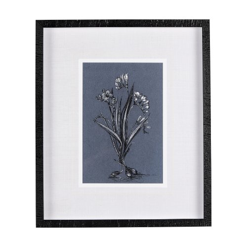 14577 - Botanical sketches III (Blue) by Mercana Studio Hand Embellished Framed Art Print Matted under Glass