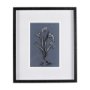14577 - Botanical sketches III (Blue) by Mercana Studio Hand Embellished Framed Art Print Matted under Glass