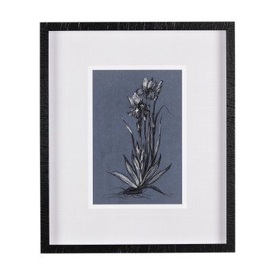 14578 - Botanical sketches IV (Blue) by Mercana Studio Hand Embellished Framed Art Print Matted under Glass