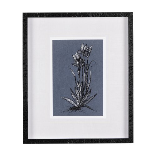 14578 - Botanical sketches IV (Blue) by Mercana Studio Hand Embellished Framed Art Print Matted under Glass