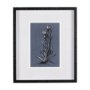 14578 - Botanical sketches IV (Blue) by Mercana Studio Hand Embellished Framed Art Print Matted under Glass
