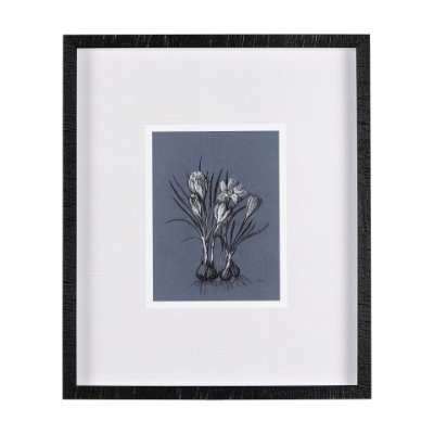 14579 - Botanical sketches V (Blue) by Mercana Studio Hand Embellished Framed Art Print Matted under Glass