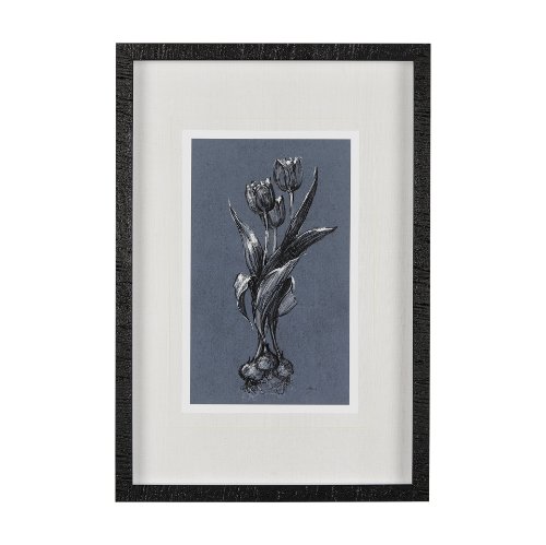 14581 - Botanical sketches I (Blue) by Mercana Studio Hand Embellished Framed Art Print Matted under Glass