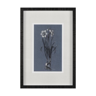 14582 - Botanical sketches I (Blue) by Mercana Studio Hand Embellished Framed Art Print Matted under Glass