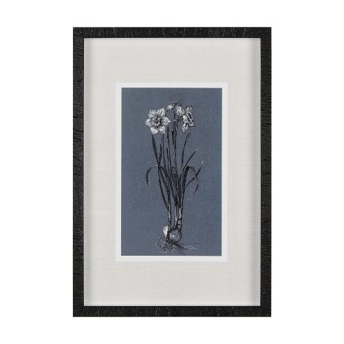 14582 - Botanical sketches I (Blue) by Mercana Studio Hand Embellished Framed Art Print Matted under Glass