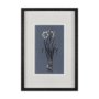 14582 - Botanical sketches I (Blue) by Mercana Studio Hand Embellished Framed Art Print Matted under Glass