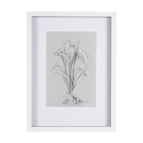 14588 - Botanical sketches III (Grey) by Mercana Studio Hand Embellished Framed Art Print Matted under Glass