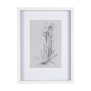Botanical sketches IV (Grey) by Mercana Studio Hand Embellished Framed Art Print Matted under Glass