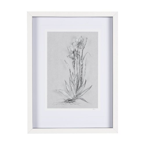14589 - Botanical sketches IV (Grey) by Mercana Studio Hand Embellished Framed Art Print Matted under Glass