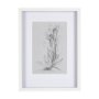 14589 - Botanical sketches IV (Grey) by Mercana Studio Hand Embellished Framed Art Print Matted under Glass