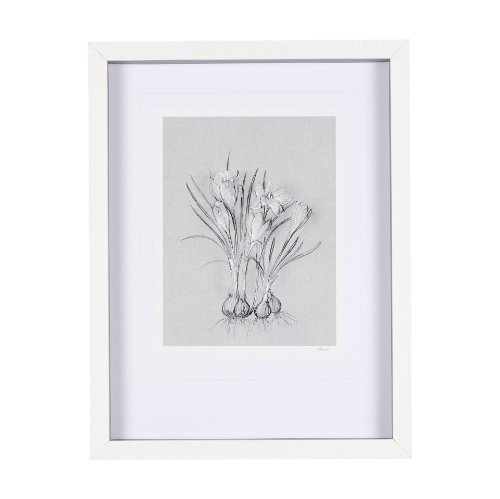 14590 - Botanical sketches V (Grey) by Mercana Studio Hand Embellished Framed Art Print Matted under Glass