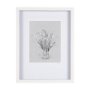 14591 - Botanical sketches VI (Grey) by Mercana Studio Hand Embellished Framed Art Print Matted under Glass