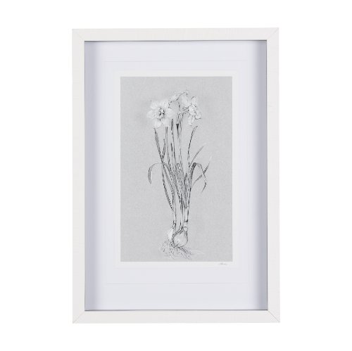 14593 - Botanical sketches II (Grey) by Mercana Studio Hand Embellished Framed Art Print Matted under Glass
