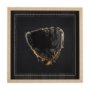 14630 - Pop Fly V  by Mercana Studio a Hand Embellished Textured Framed Photo Art Print Matted under Glass