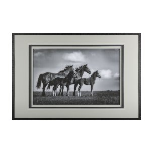 Focused by Mercana Studio a Framed Photo Art Print Matted under Glass