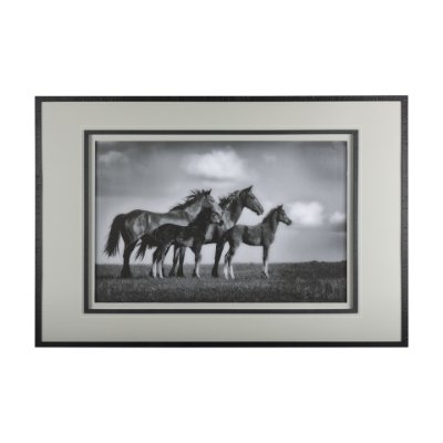 14635 - Focused by Mercana Studio a Framed Photo Art Print Matted under Glass