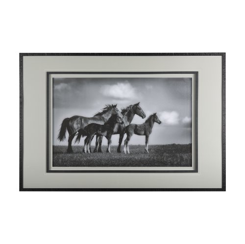14635 - Focused by Mercana Studio a Framed Photo Art Print Matted under Glass