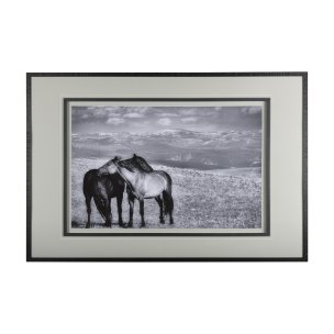 Babies on Board by Mercana Studio a Framed Photo Art Print Matted under Glass
