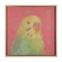 14648 - Pop Birds - Sore  by Mercana Studio a Hand Embellished Textured Framed Art Print Matted under Glass