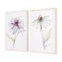 13654 - Echinacea I by Mercana Studio a Hand Embellished Textured Framed Art Print