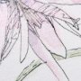 13654 - Echinacea I by Mercana Studio a Hand Embellished Textured Framed Art Print