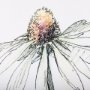 13654 - Echinacea I by Mercana Studio a Hand Embellished Textured Framed Art Print