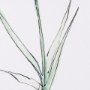 13656 - Dianthus I by Mercana Studio a Hand Embellished Textured Framed Art Print