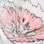 13656 - Dianthus I by Mercana Studio a Hand Embellished Textured Framed Art Print