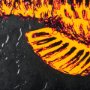 14441 - Largemouth Bass Orange by Mercana Studio a Hand Embellished Textured Framed Art Print