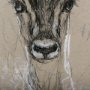 14470 - Sketch of Animal III (Antelope) Mercana Studio Hand Embellished Framed Art Print Matted under Glass