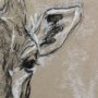 14471 - Sketch of Animal IV (Giraffe) by Mercana Studio Hand Embelished Framed Art Print Matted under Glass