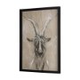 14472 - Sketch of Animal V (Goat) by Mercana Studio Hand Embellished Framed Art Print Matted under Glass