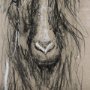 14472 - Sketch of Animal V (Goat) by Mercana Studio Hand Embellished Framed Art Print Matted under Glass