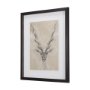 14475 - Sketch of Animal III (Antelope) Mercana Studio Hand Embellished Framed Art Print Matted under Glass