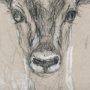 14475 - Sketch of Animal III (Antelope) Mercana Studio Hand Embellished Framed Art Print Matted under Glass