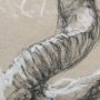 14475 - Sketch of Animal III (Antelope) Mercana Studio Hand Embellished Framed Art Print Matted under Glass