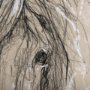 14478 - Sketch of Animal VI (Pony) by Mercana Studio Hand Embellished Framed Art Print Matted under Glass