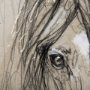 14479 - Sketch of Animal VII (Horse) by Mercana Studio a Hand Embellished Textured Framed Art Print