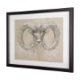 14480 - Sketch of animal I (Wild sheep) Mercana Studio Hand Embellished Framed Art Print Matted under Glass