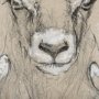 14480 - Sketch of animal I (Wild sheep) Mercana Studio Hand Embellished Framed Art Print Matted under Glass