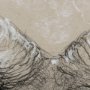 14480 - Sketch of animal I (Wild sheep) Mercana Studio Hand Embellished Framed Art Print Matted under Glass