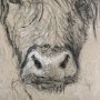 14486 - Sketch of Animal VIII by Mercana Studio Hand Embellished Framed Art Print Matted under Glass