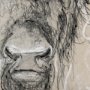 14487 - Sketch of Animal IX (Bison) by Mercana Studio Hand Embellished Framed Art Print Matted under Glass