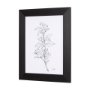 14489 - Herb Sketch I ,II by Mercana Studio a Hand Embellished Textured Framed Art Print