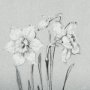 14535 - Botanical sketches II (Grey) by Mercana Studio Hand Embellished Framed Art Print Matted under Glass