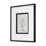 14536 - Botanical sketches III (Grey) by Mercana Studio Hand Embellished Framed Art Print Matted under Glass